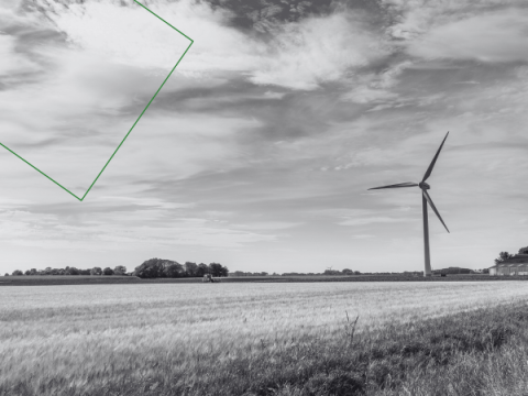 Landschapsfoto van veld met rechts een windmolen