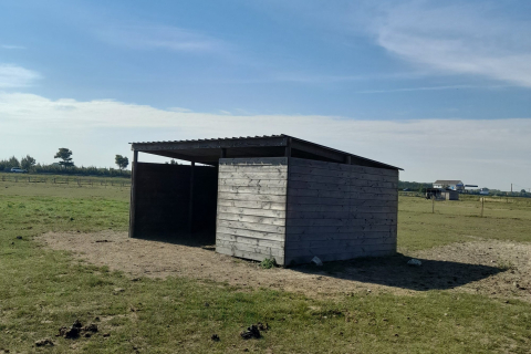 De 3 vijvers manege en logies