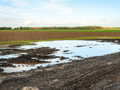 Plassen water op veld.