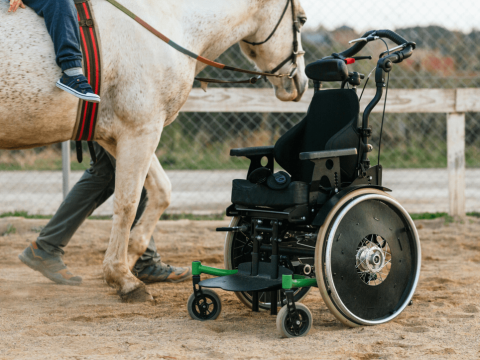 Roelstoel dat voor een paard staat.