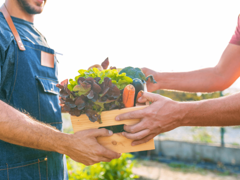 Man geeft mandje met groenten en fruit aan klant