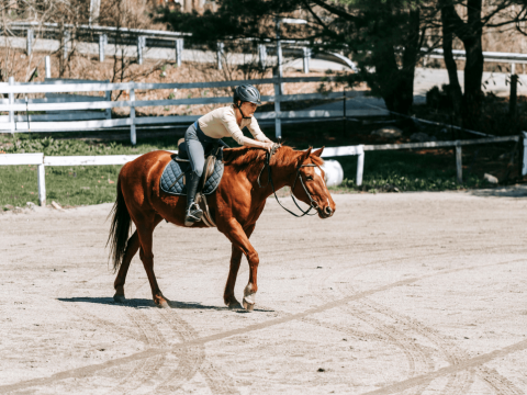 Vrouw die paard rijdt op een buitenpiste.