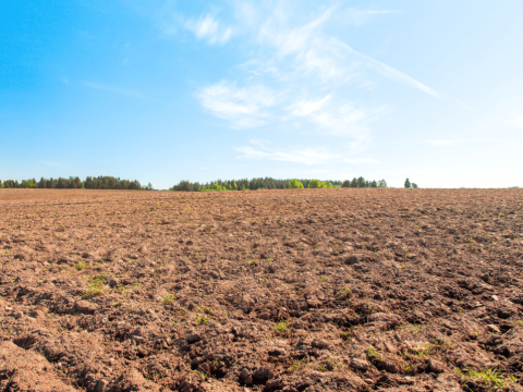 Braakliggend veld