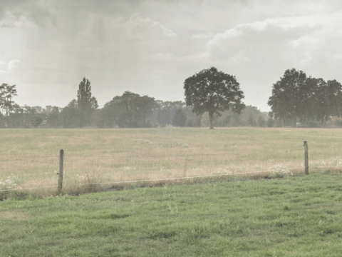 Hevige regenval boven een veld