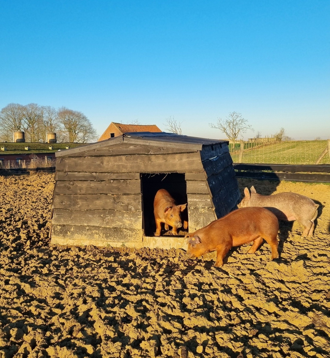 Beleefboerderij Porigine