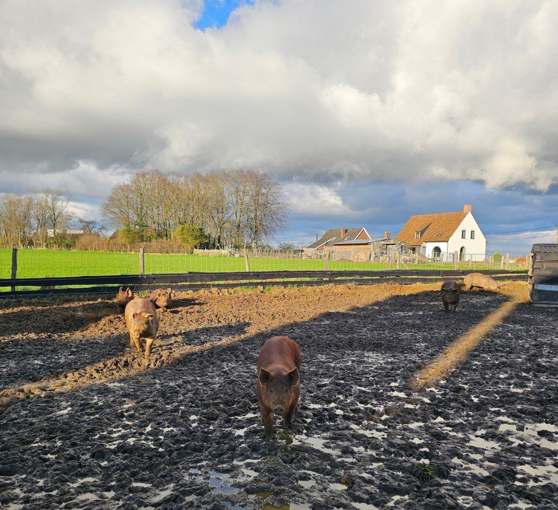 Beleefboerderij Porigine