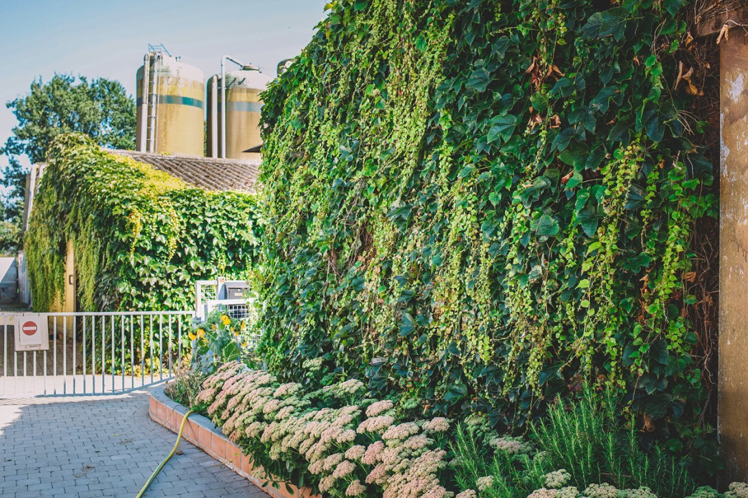 Agro verbreding De Groene Boerderij