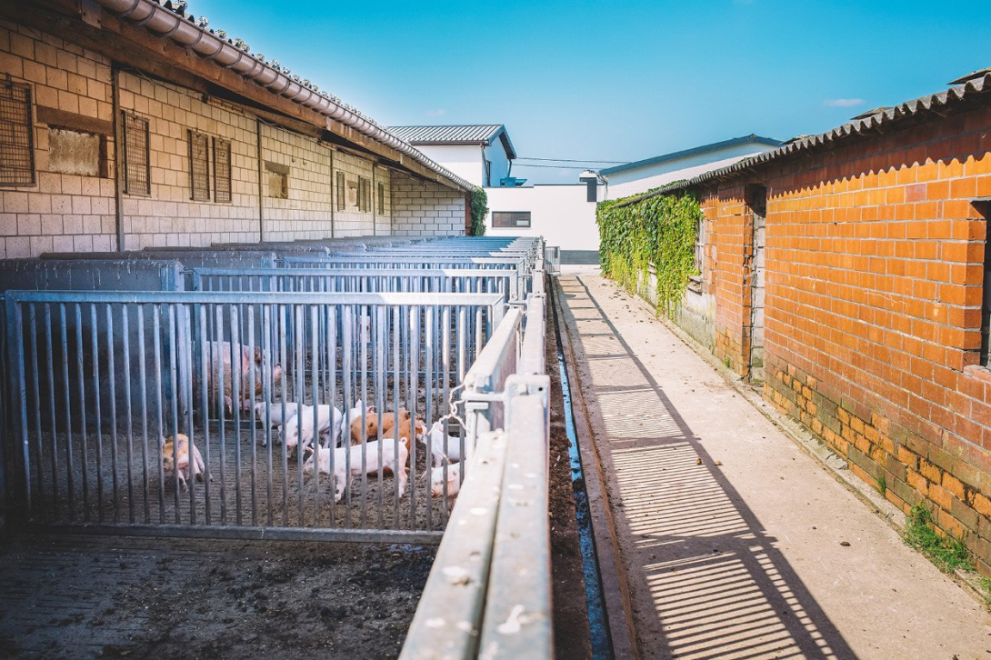 Agro verbreding De Groene Boerderij