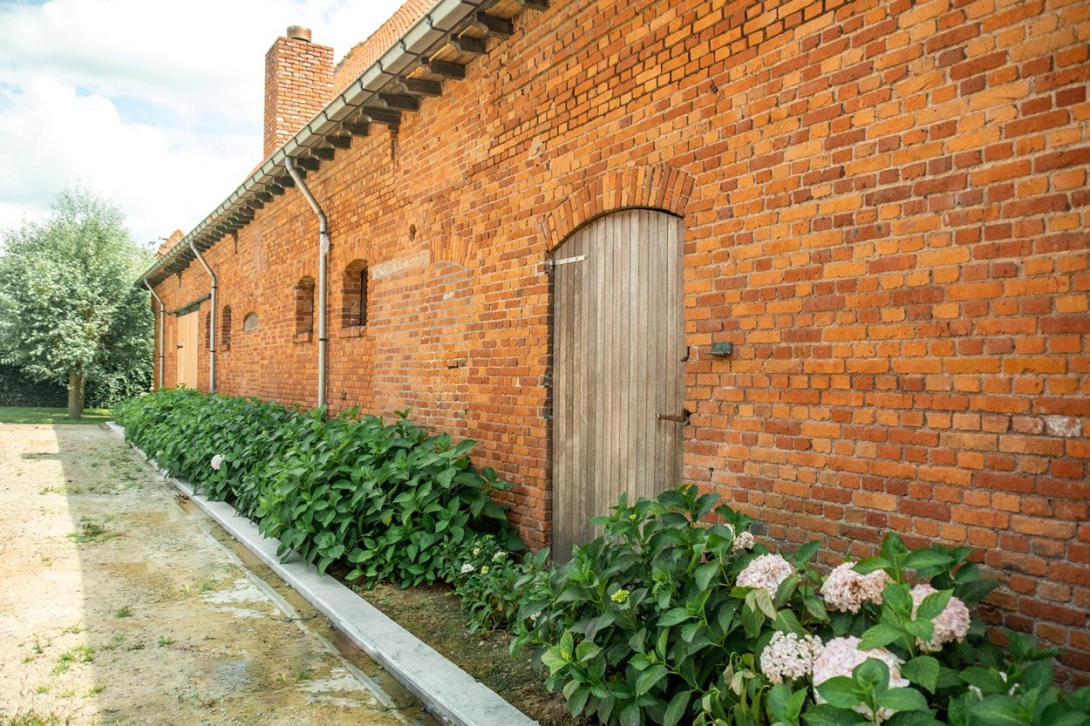 Vakantiewoning Hoeve 1919