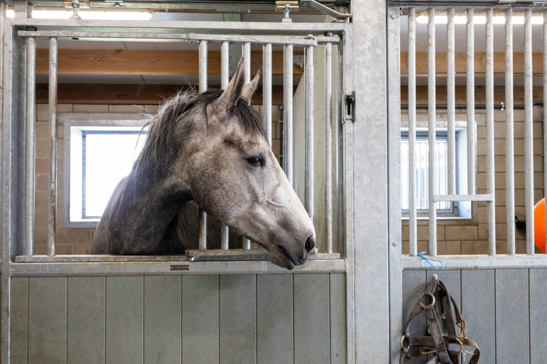 Dierenkliniek Annemie