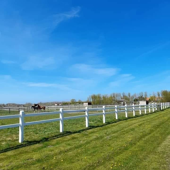 De 3 vijvers manege en logies