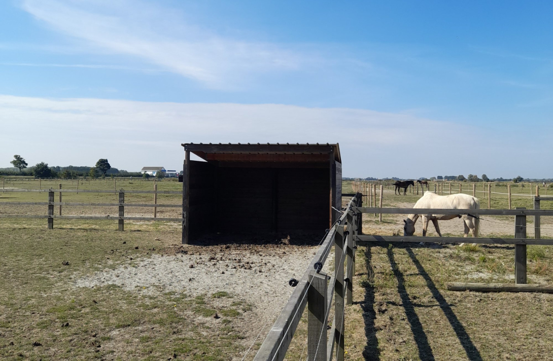 De 3 vijvers manege en logies