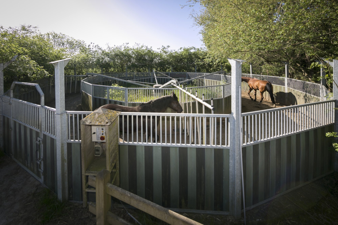 Paardenhouderij Leffinge